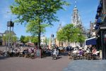 Terras Zenc.jpg